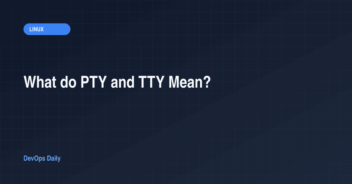 What do PTY and TTY Mean?